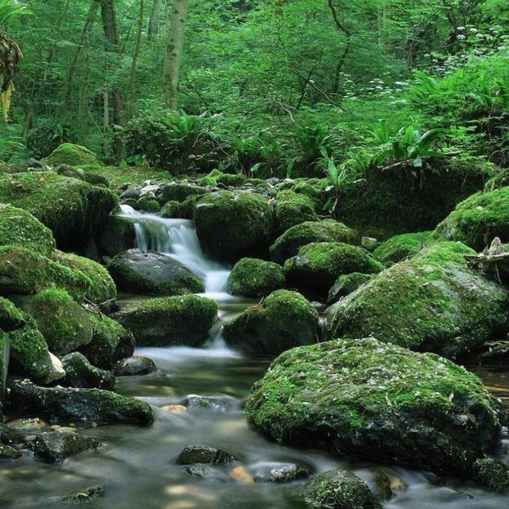 Meet your Posher, Arturo